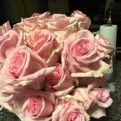 Photo submitted by Ricardo