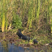 Photo submitted by Christopher