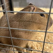 Photo submitted by Beth