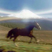 Photo submitted by Max