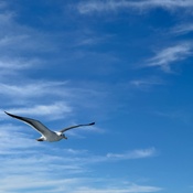 Photo submitted by Joe