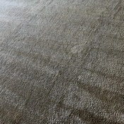 Photo submitted by Tonya