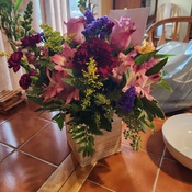 Photo submitted by Samantha