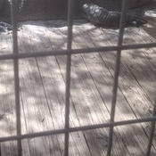 Photo submitted by Florence