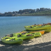 Photo submitted by Tiffany