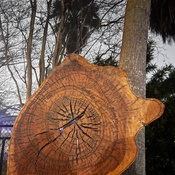 Photo submitted by Ebony