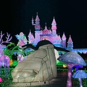 Photo submitted by Marcus