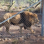 Photo submitted by James