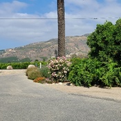 Photo submitted by Dreena