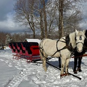 Photo submitted by Mike