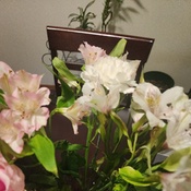 Photo submitted by Randi