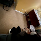 Photo submitted by Shanelle