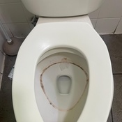 Photo submitted by Laurie