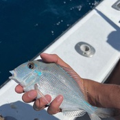 Photo submitted by Moe