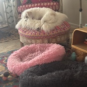 Photo submitted by olga