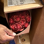 Photo submitted by Dontae