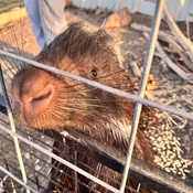 Photo submitted by Sara