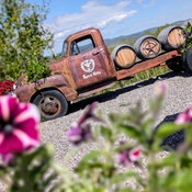 Photo submitted by Alan