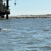 Photo submitted by darrell