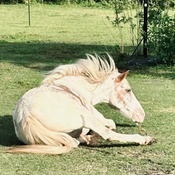 Photo submitted by Guest