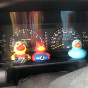 Photo submitted by Thomas