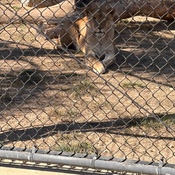 Photo submitted by Guest