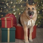 Photo submitted by Taylor