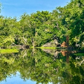 Photo submitted by Gini