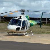 Photo submitted by Guest