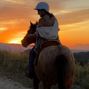 Photo submitted by Fawn