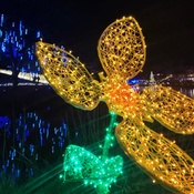 Photo submitted by Cierra