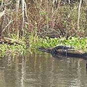 Photo submitted by Yiding