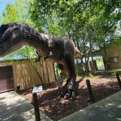 Photo submitted by elena