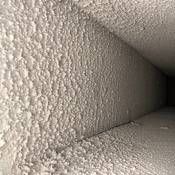 Photo submitted by Judy