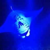 Photo submitted by Ziyu