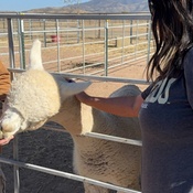 Photo submitted by Tracy