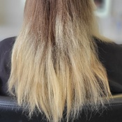 Photo submitted by Alexia