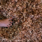 Photo submitted by Blainw