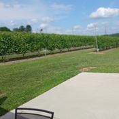 Photo submitted by TD