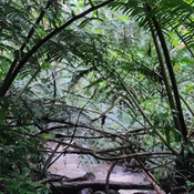 Photo submitted by Zachary