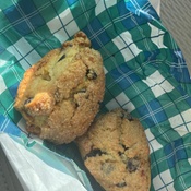 Photo submitted by darla