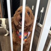 Photo submitted by Guest