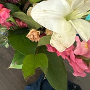 Photo submitted by Maribel