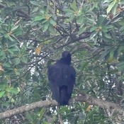 Photo submitted by Steven