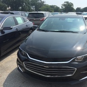 Photo submitted by Larry