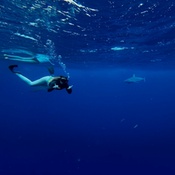 Photo submitted by Rachel