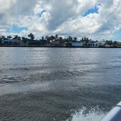 Photo submitted by Guest