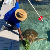 Photo submitted by Laura