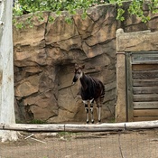 Photo submitted by Jaressia