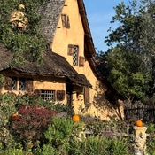 Photo submitted by Jennifer